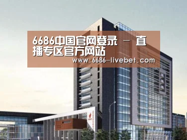 案例展示七