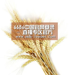 6686中国官网登录 - 直播专区官方网站