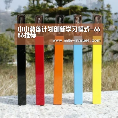小小教练计划创新学习模式-6686推荐(图2) 6686品牌