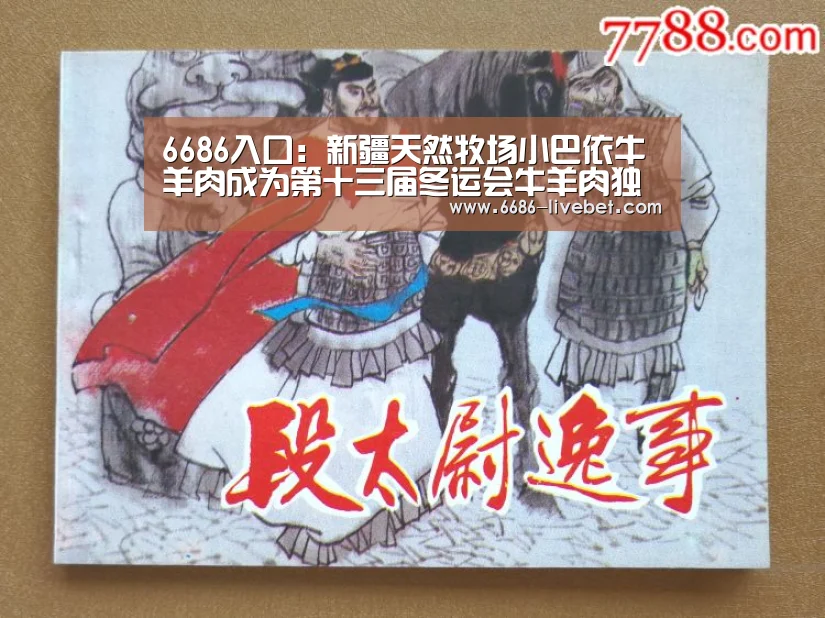 6686品牌
